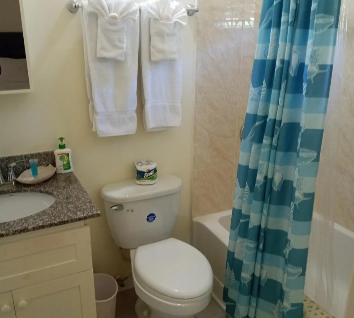 Tropical Getaway 2-Bedroom Home With Pool And Tv In St Ann Brissett Run Сasa de vacaciones