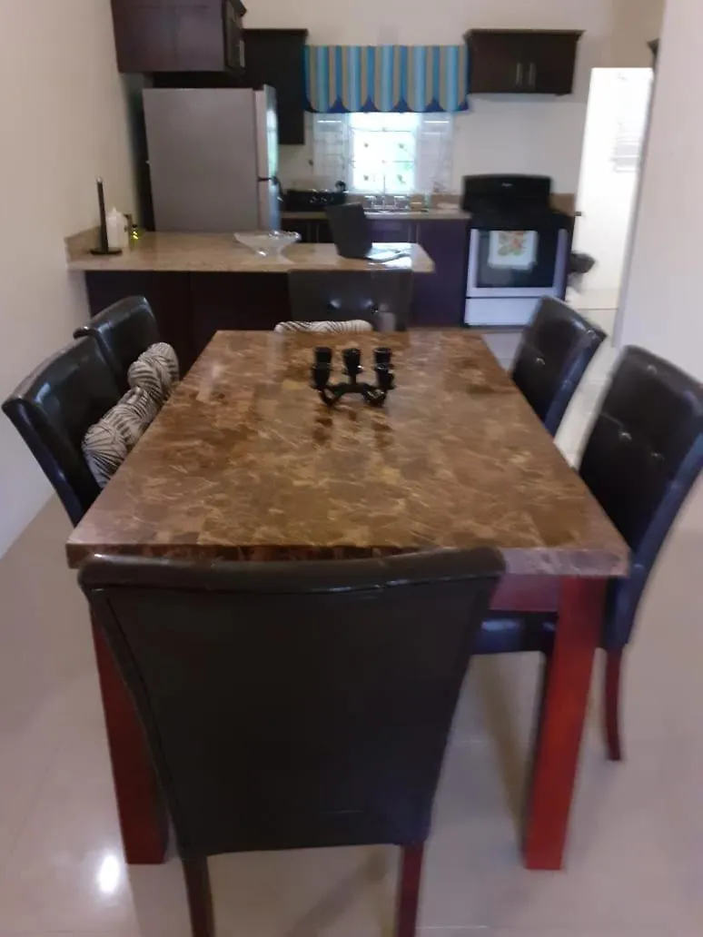 Tropical Getaway 2-Bedroom Home With Pool And Tv In St Ann Brissett Run